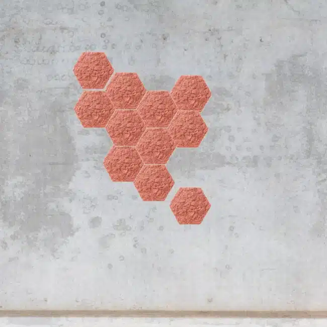 hexagon-met-rendiermos-roze-21cm-24cm-855526